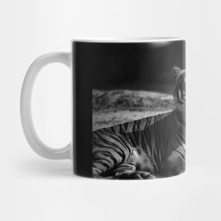 tiger, black and white Mug